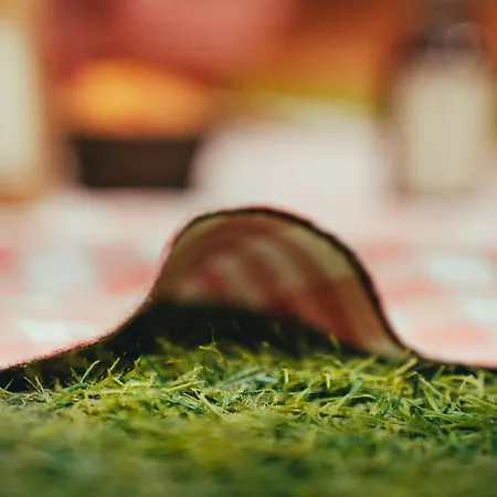 Апартаменты Urban Pic Nic *